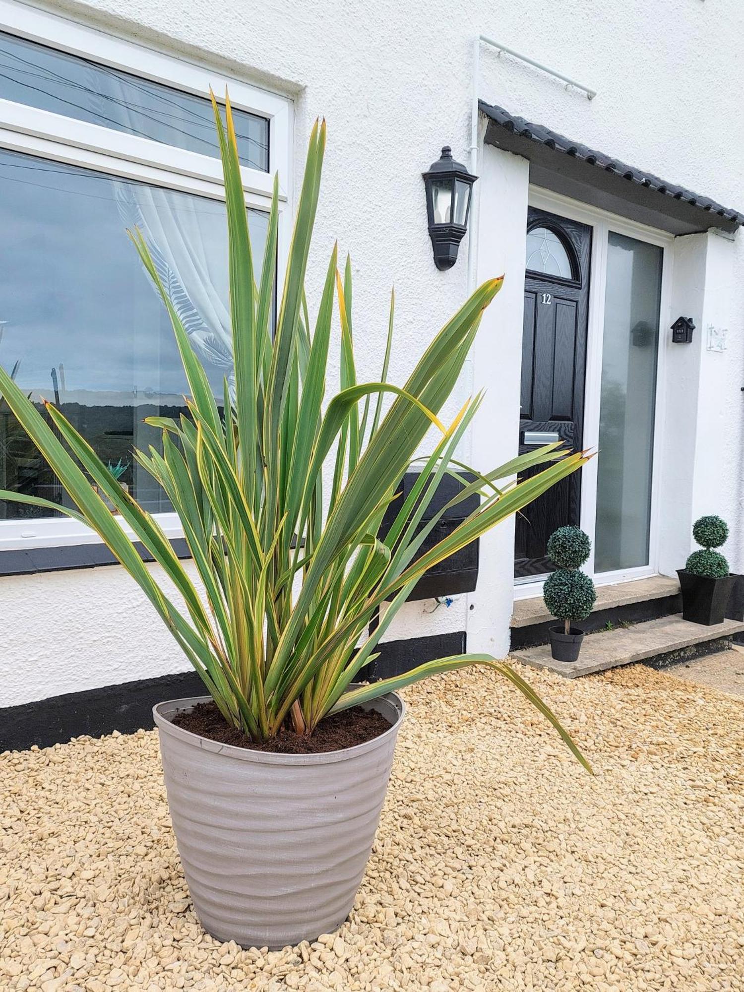 'Serenity In Somerset ' Self Catering House Rental Near Chard , Idea For Workers Chardstock Exterior foto